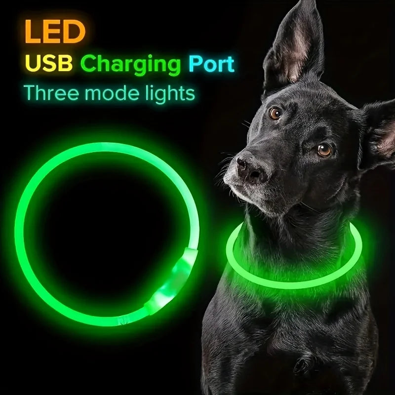 El Collar de Luz del Reino — Collar LED Luminoso Recargable para Perros