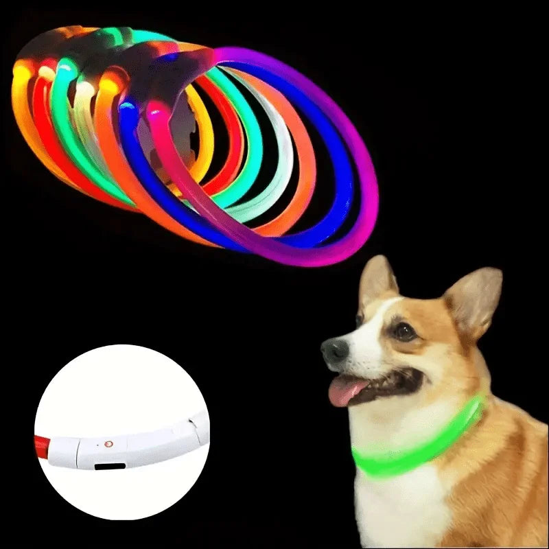 El Collar de Luz del Reino — Collar LED Luminoso Recargable para Perros